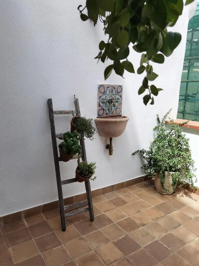 Il Terrazzino Sul Kemonia Lejlighed Palermo