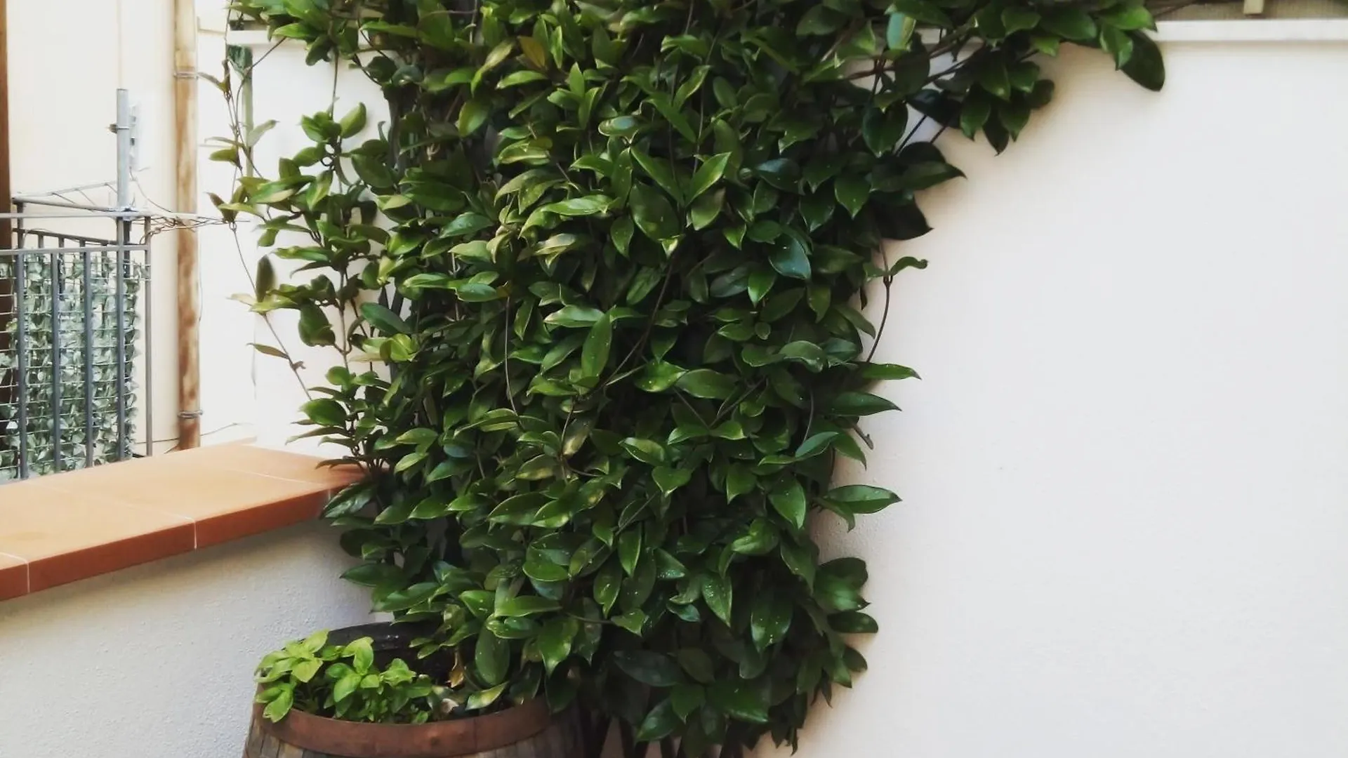 Il Terrazzino Sul Kemonia Apartment Palermo
